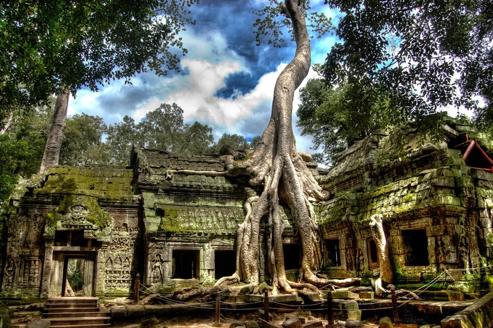 Thailand-Cambodia-Vietnam-3-weeks-ta-prohm