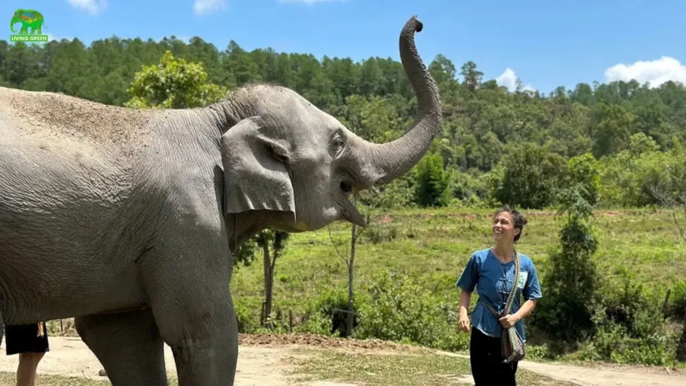 chiang-mai-educational-fun-and-nature chiang-mai-educational-fun-and-nature