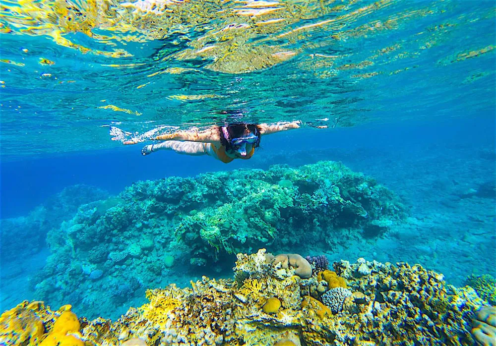 explore-rich-biodiversity