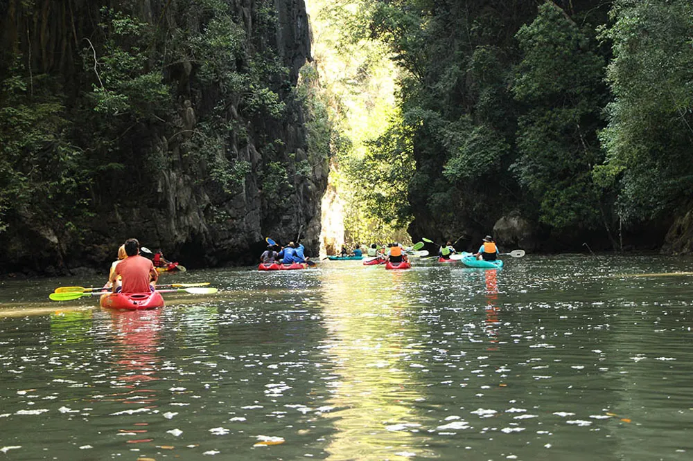 kayak-through-krabi’s-mangrove-forests