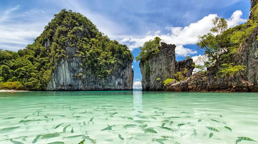thailand/phuket-big-bold-and-beautiful thailand/phuket-big-bold-and-beautiful