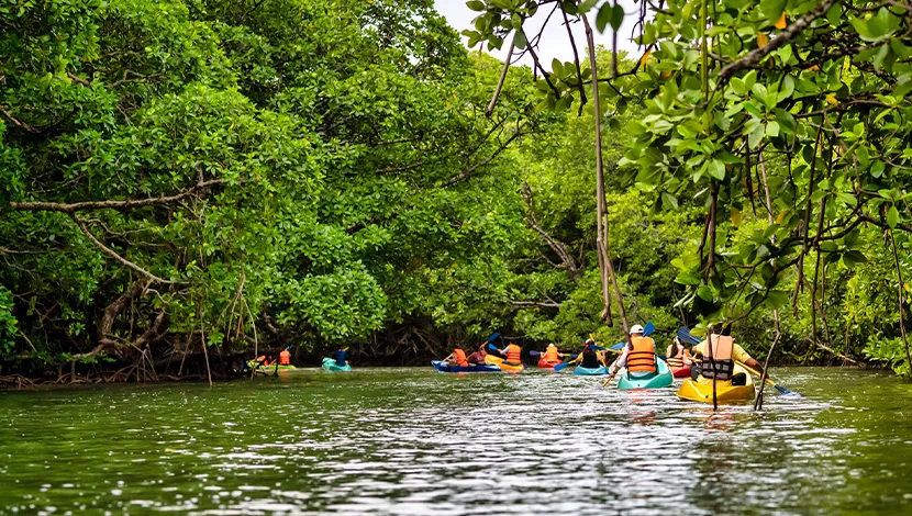 kayak-time-everyonehiding-river-at-the-back-mountain-of-koh-rong-island