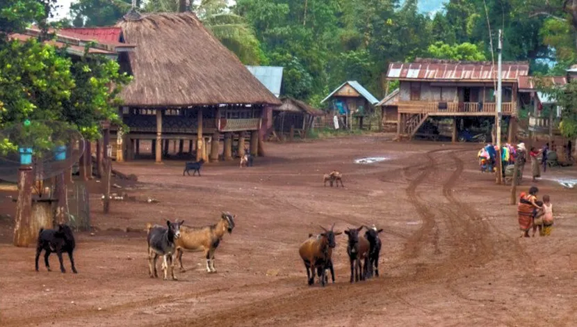 katu-village-in-pakse