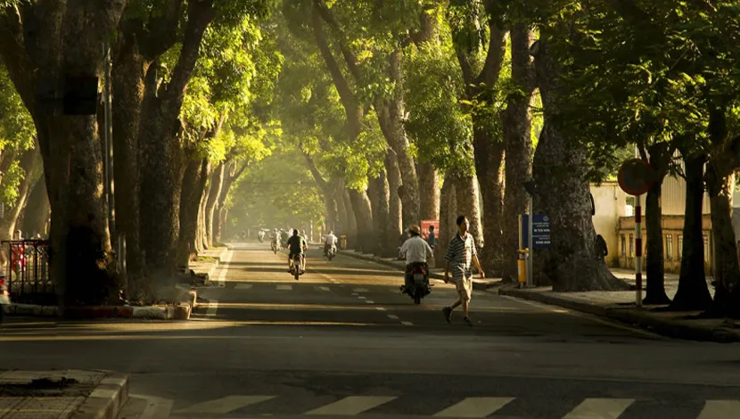 ha-noi-green-street